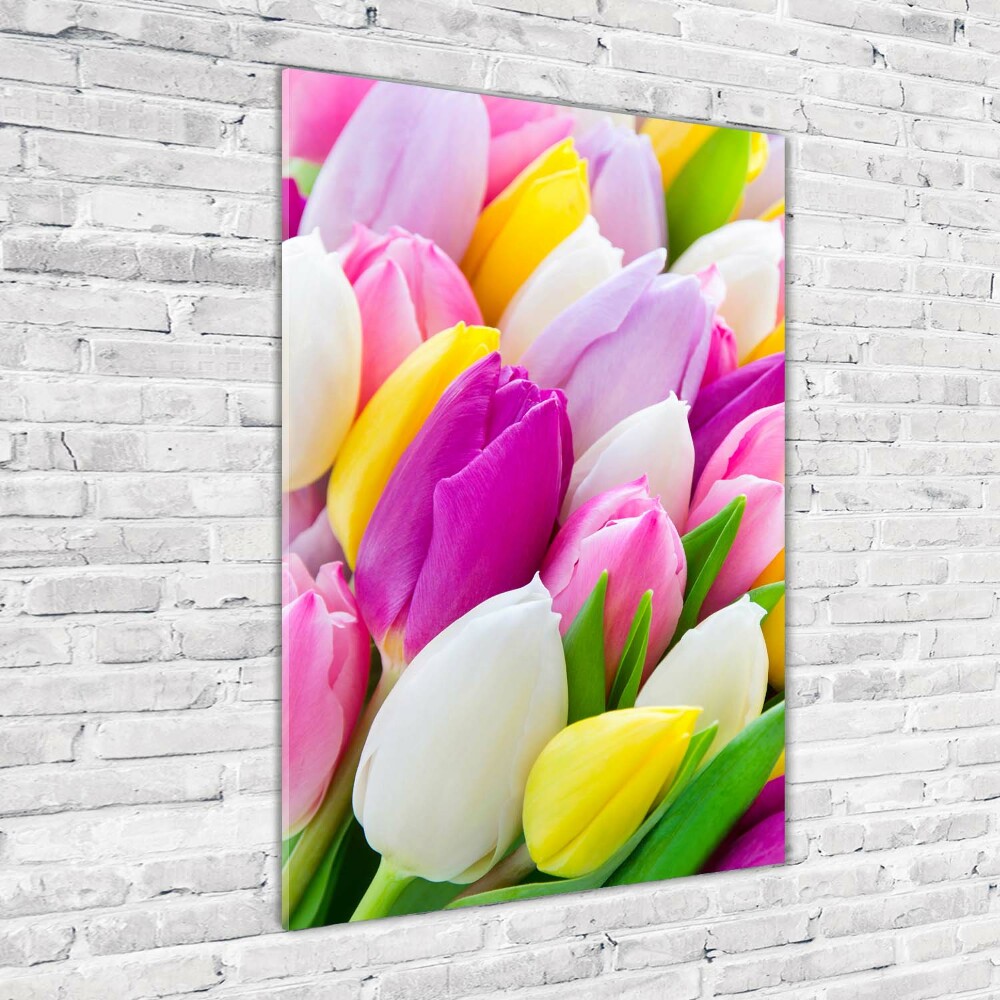 Vertikálny foto obraz fotografie na skle Farebné tulipány