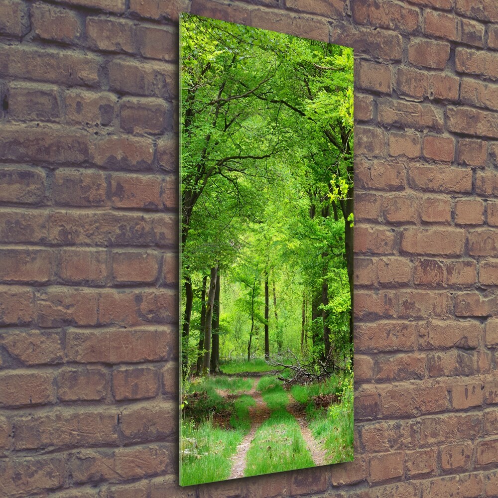 Vertikálny foto obraz sklenený Zelený les