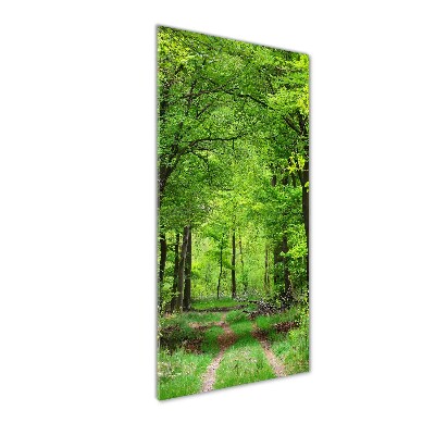 Vertikálny foto obraz sklenený Zelený les