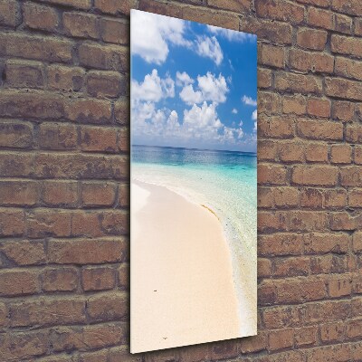 Vertikálny foto obraz fotografie na skle Pláž Malediny