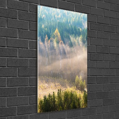 Vertikálny fotoobraz na skle Hmla nad lesom