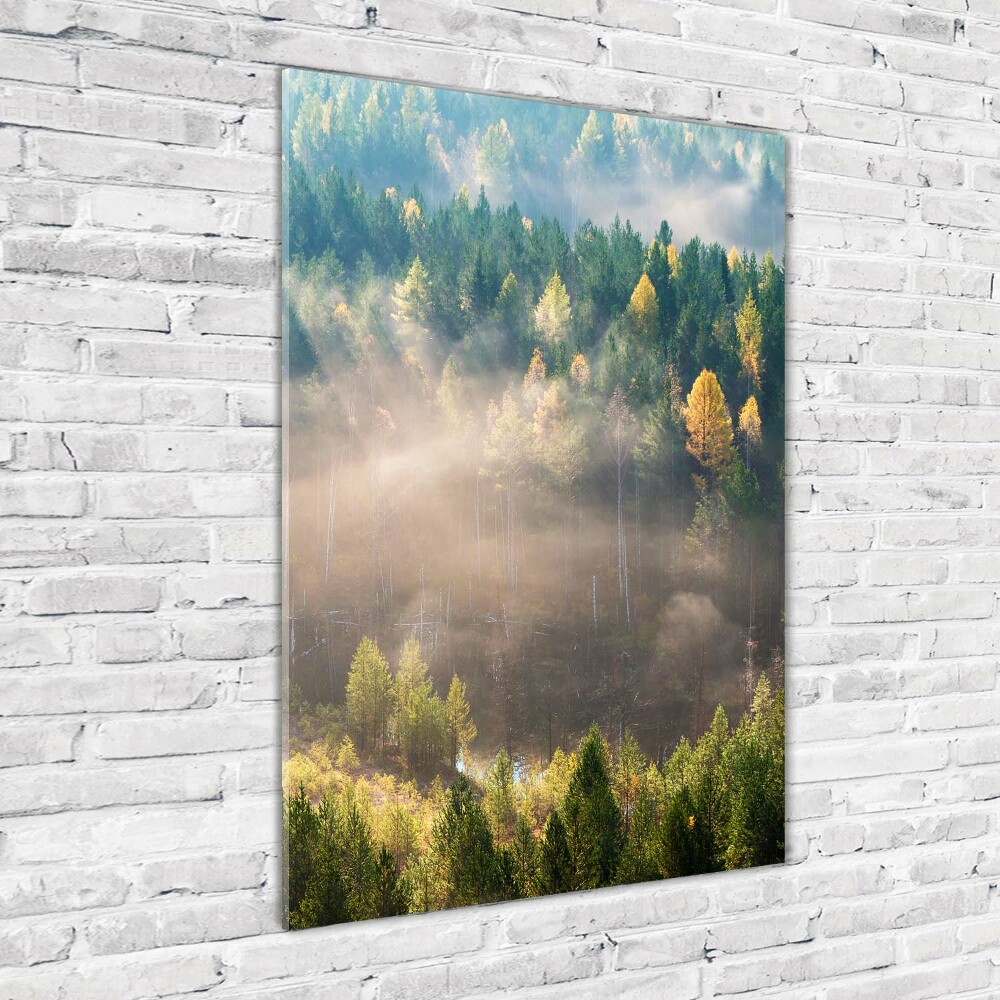 Vertikálny fotoobraz na skle Hmla nad lesom