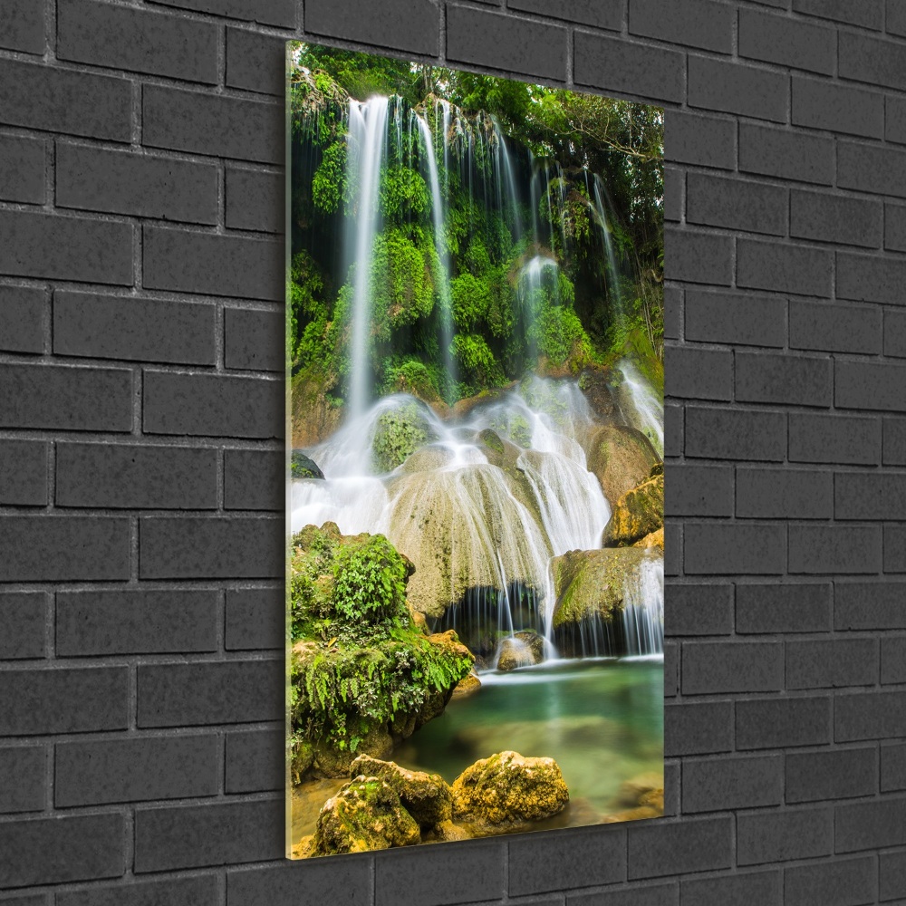 Vertikálny foto obraz sklo tvrdené Vodopád v džungli