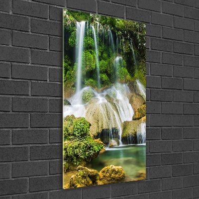 Vertikálny foto obraz sklo tvrdené Vodopád v džungli
