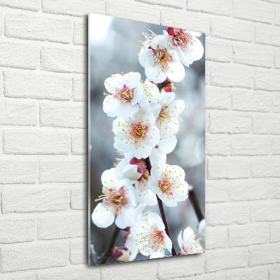 Vertikálny foto obraz sklenený Kvety višne