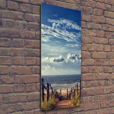 Vertikálny foto obraz fotografie na skle Chodník na pláž