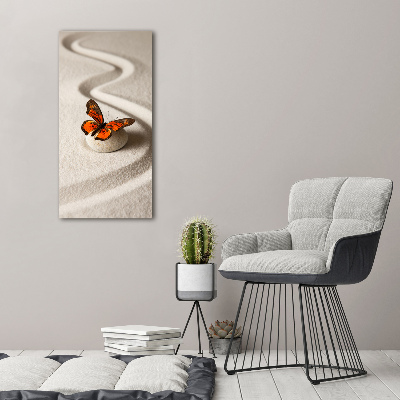 Vertikálny foto obraz fotografie na skle Kameň zen a motýľ