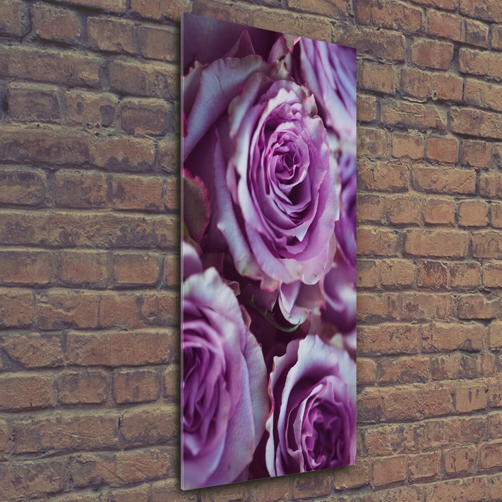 Vertikálny foto obraz sklenený Fialové ruže