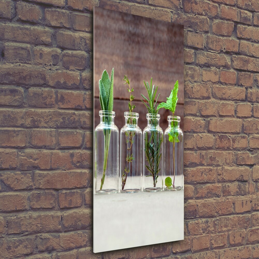 Vertikálny foto obraz sklo tvrdené Bylinky v pohároch