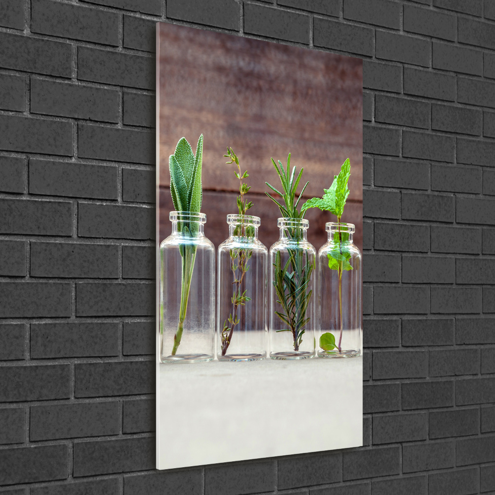 Vertikálny foto obraz sklo tvrdené Bylinky v pohároch