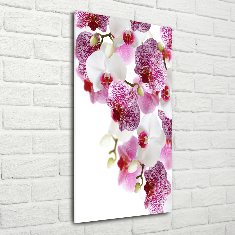 Vertikálny foto obraz sklenený Orchidea