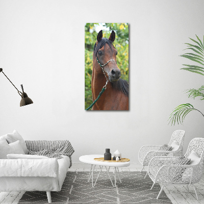 Vertikálny fotoobraz na skle Portrét koňa