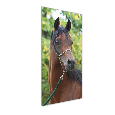Vertikálny fotoobraz na skle Portrét koňa