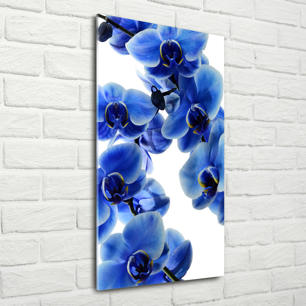 Vertikálny foto obraz sklenený Modrá orchidea