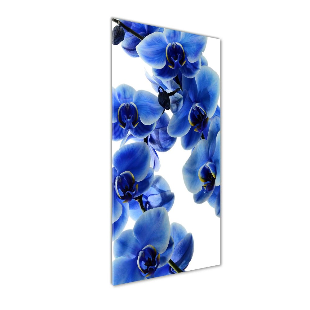 Vertikálny foto obraz sklenený Modrá orchidea