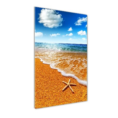 Vertikálny foto obraz sklo tvrdené Hviezdice na pláži