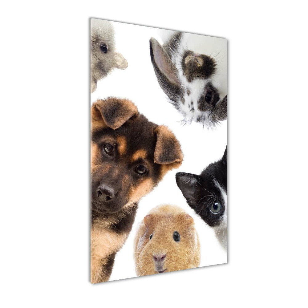 Vertikálny foto obraz sklenený Domáce zvieratá