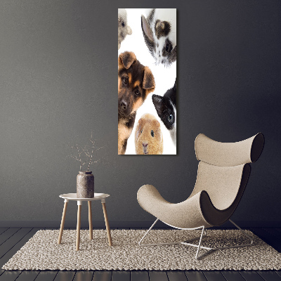 Vertikálny foto obraz sklenený Domáce zvieratá