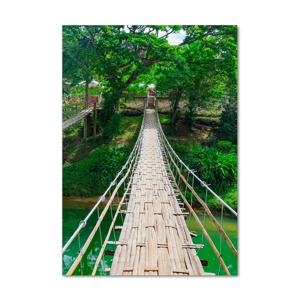 Vertikálny foto obraz sklenený Visiace most
