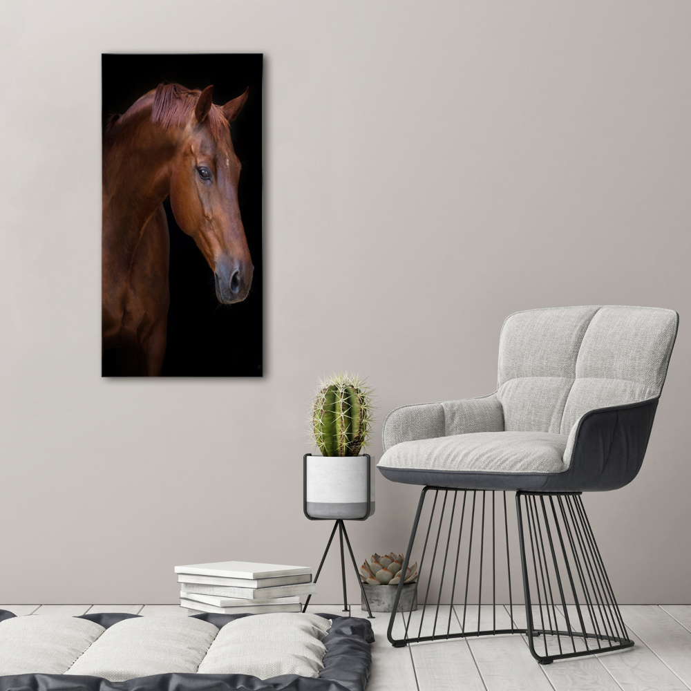 Vertikálny foto obraz fotografie na skle Portrét koňa