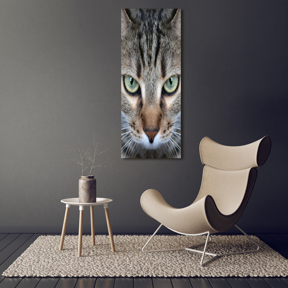 Vertikálny foto obraz sklenený Oči mačky