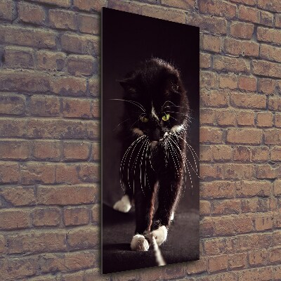 Vertikálny foto obraz sklenený Čierna mačka