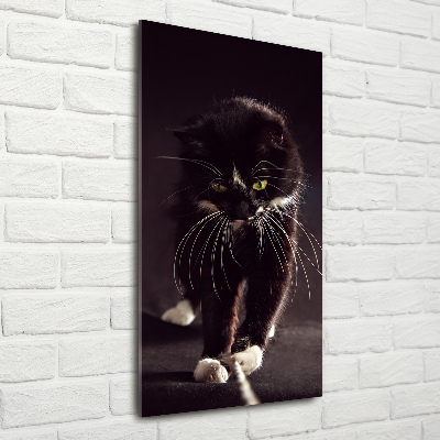 Vertikálny foto obraz sklenený Čierna mačka