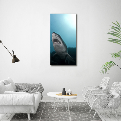 Vertikálny foto obraz sklenený Veľký žralok