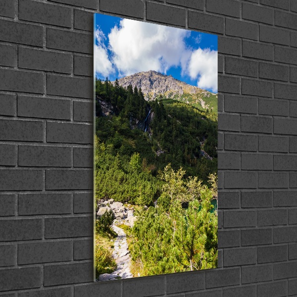 Vertikálny foto obraz sklenený Morské oko Tatry