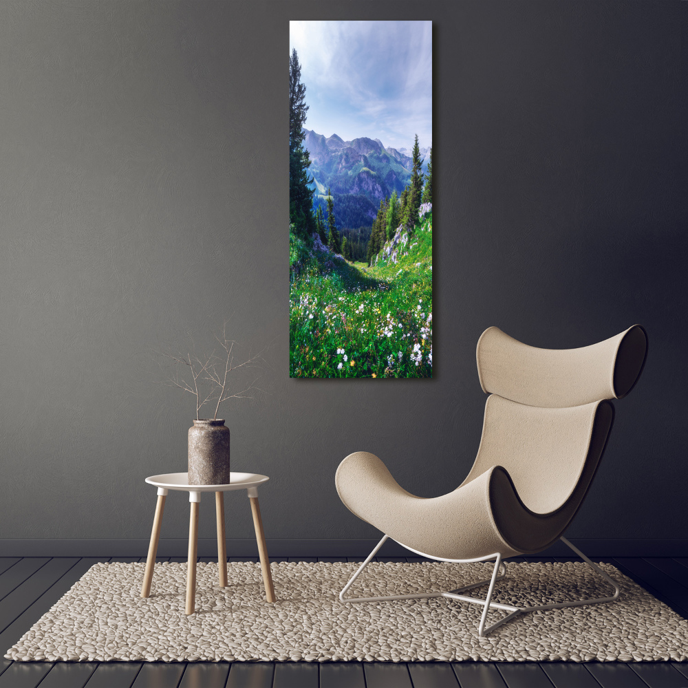 Vertikálny foto obraz fotografie na skle Alpy
