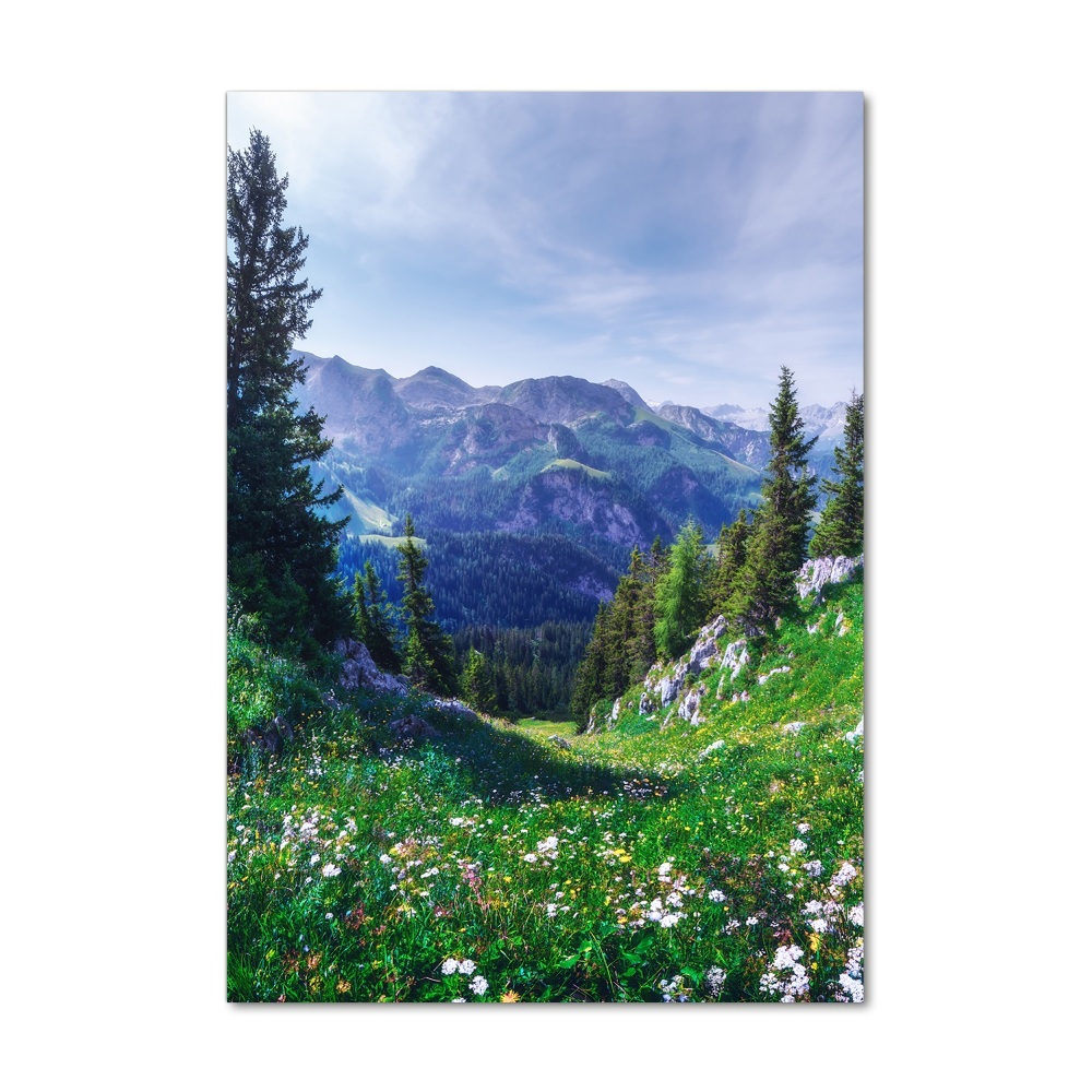 Vertikálny foto obraz fotografie na skle Alpy