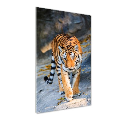 Vertikálny fotoobraz na skle Tiger