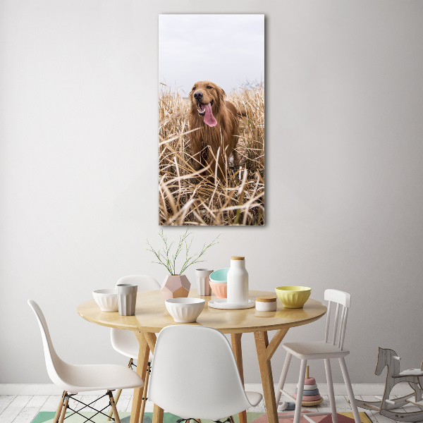 Vertikálny foto obraz sklo tvrdené Golden retriever