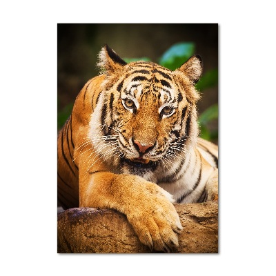 Vertikálny foto obraz sklenený Bengálsky tiger