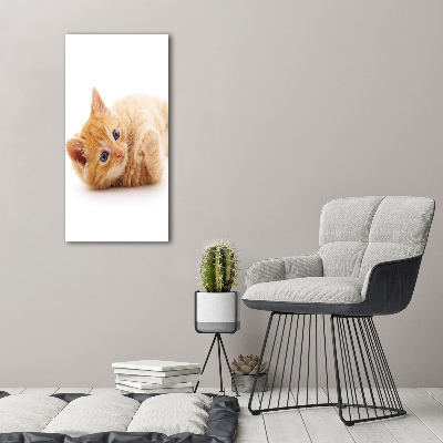 Vertikálny foto obraz sklenený Malá červená mačka