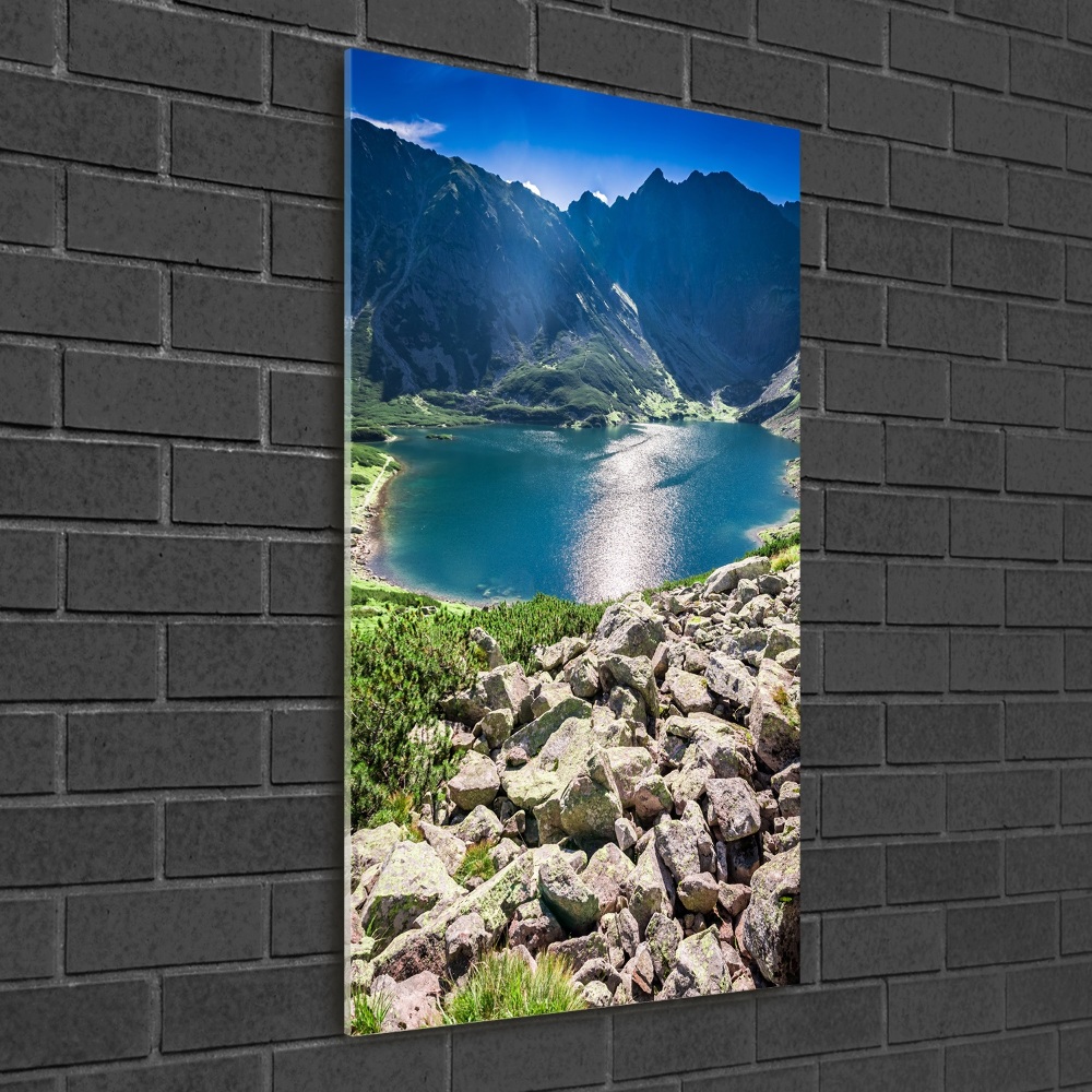 Vertikálny foto obraz sklenený Čierne jazero Tatry