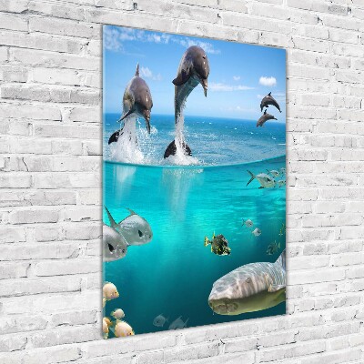 Vertikálny foto obraz sklo tvrdené Podvodný svet