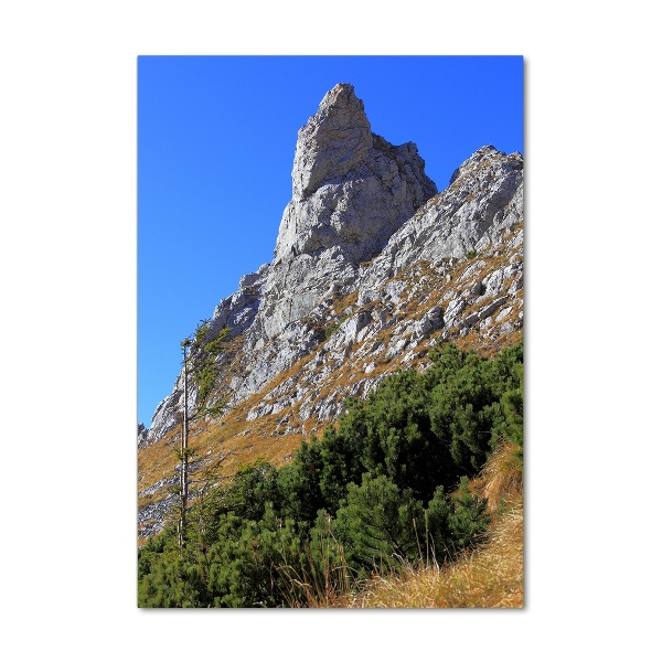 Vertikálny foto obraz fotografie na skle Malý Giewont Tatry