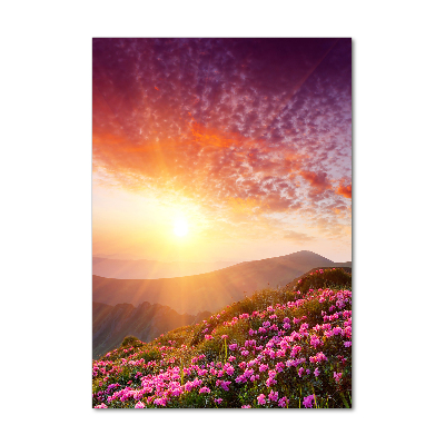 Vertikálny foto obraz sklenený Jarno v horách