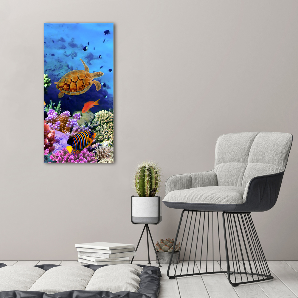 Vertikálny fotoobraz na skle Koralový útes