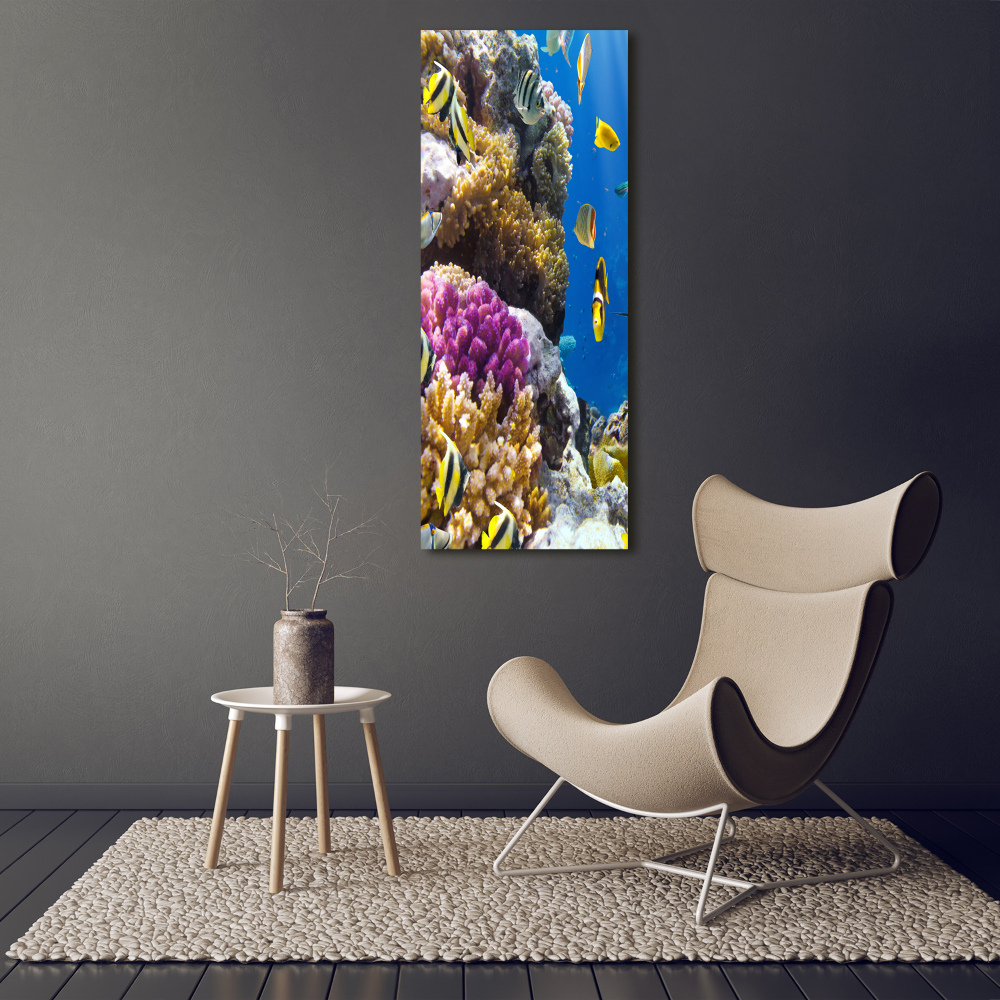 Vertikálny foto obraz sklenený Koralový útes