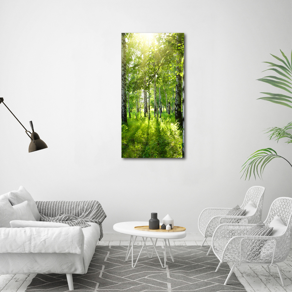 Vertikálny foto obraz sklenený Brezový les