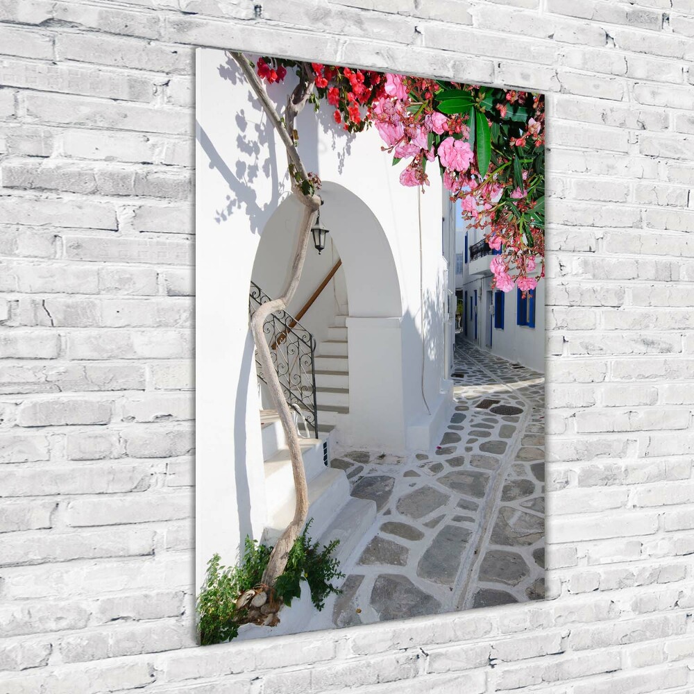 Vertikálny foto obraz sklenený Grécka vesnice