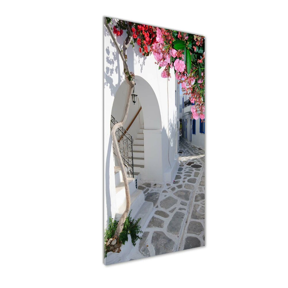 Vertikálny foto obraz sklenený Grécka vesnice