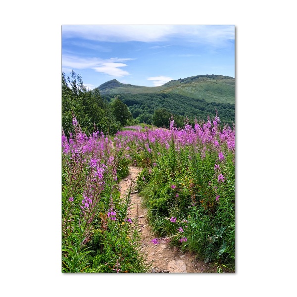 Vertikálny fotoobraz na skle Bieszczady