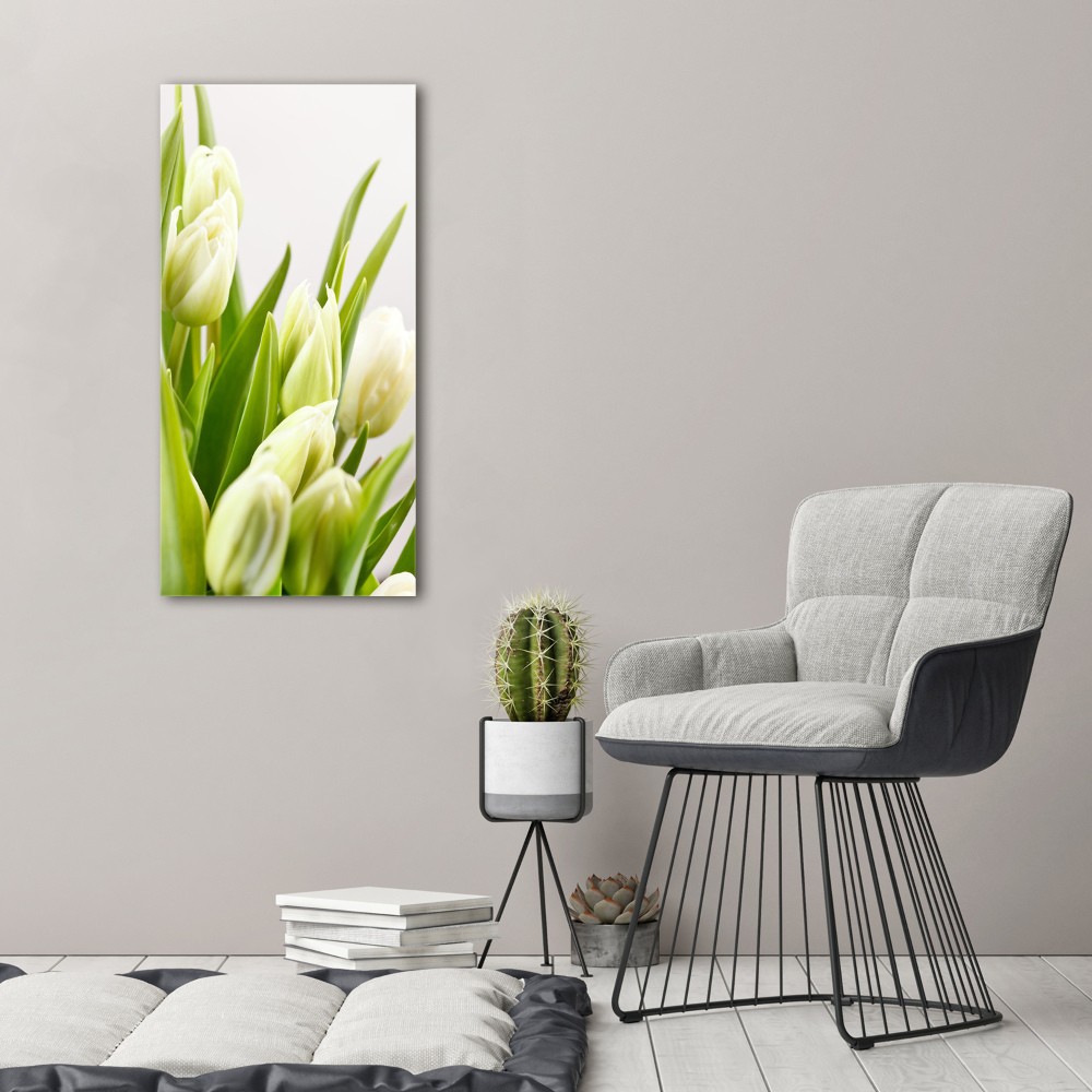Vertikálny foto obraz fotografie na skle Biele tulipány