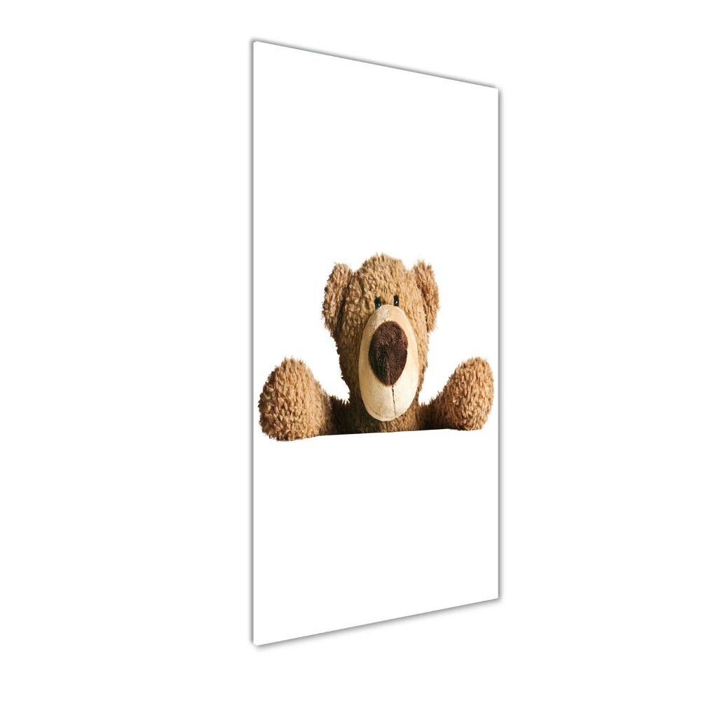 Vertikálny foto obraz sklenený Plyšový medvedík