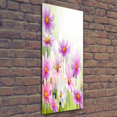 Vertikálny fotoobraz na skle Poľné kvety