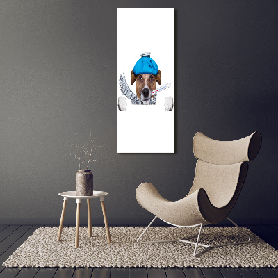 Vertikálny fotoobraz na skle Chorý pes