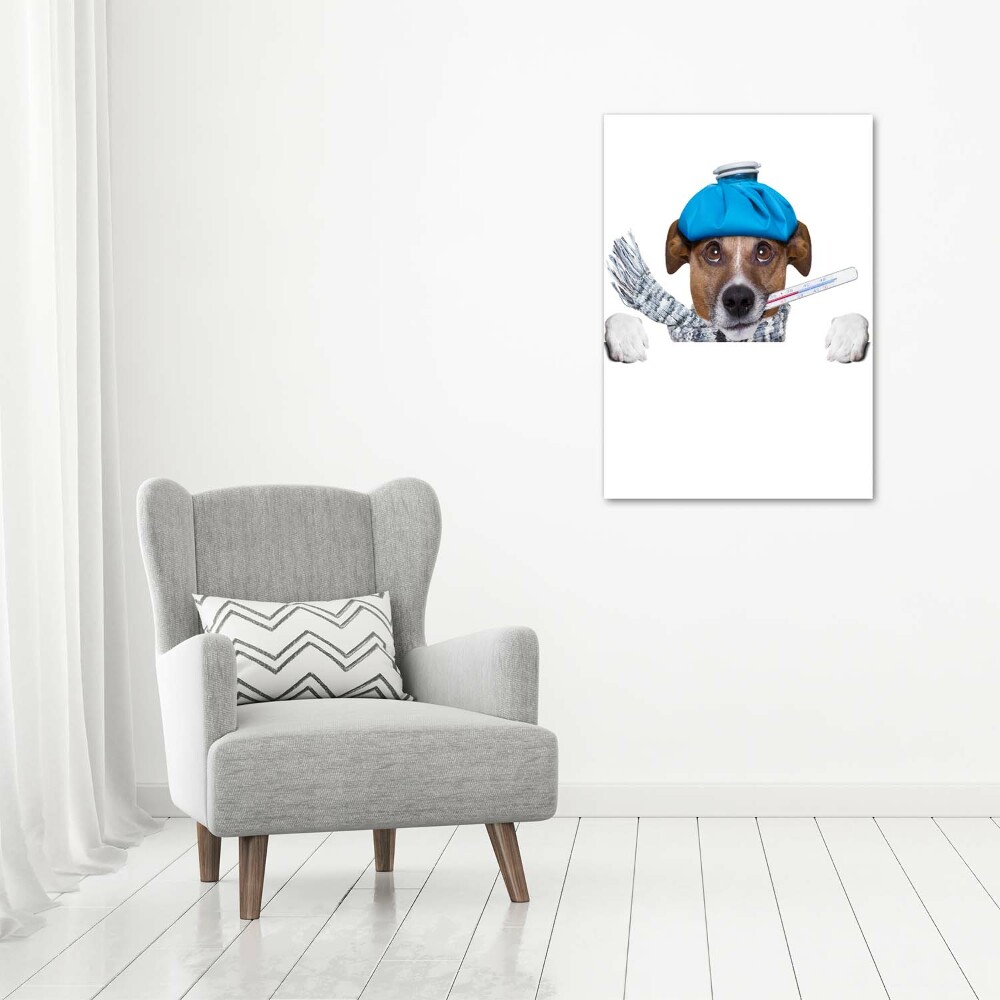 Vertikálny fotoobraz na skle Chorý pes